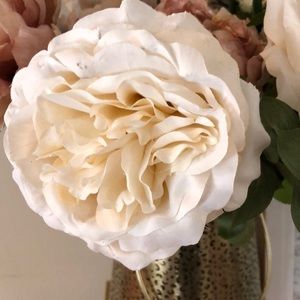 Meet your Posher, Aileen